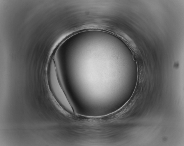 X0000098140796200804171546