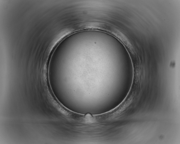 X0000098140798200804171546