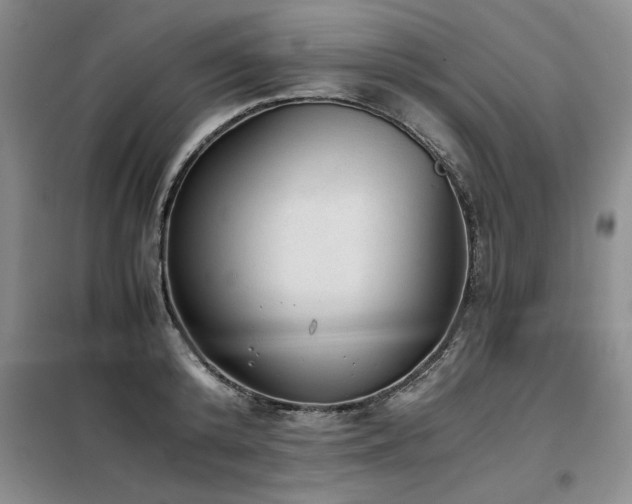 X0000098140800200804171546