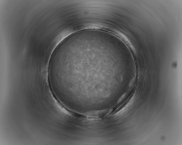 X0000098140802200804171546