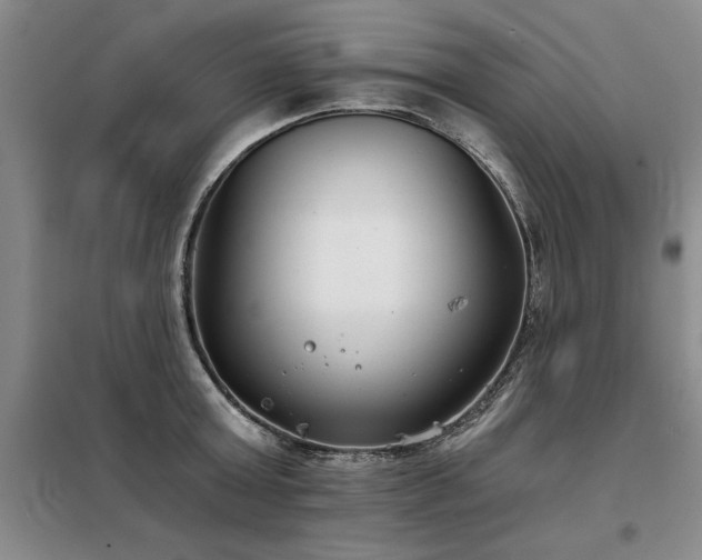 X0000098140803200804171546