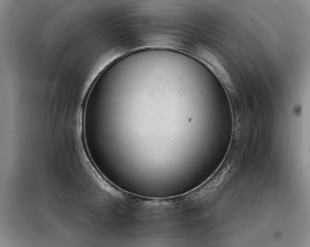 X0000098140804200804171546