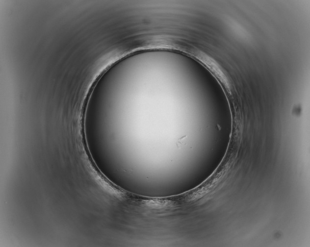 X0000098140805200804171545