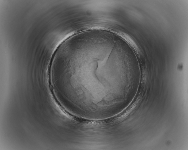 X0000098140806200804171545
