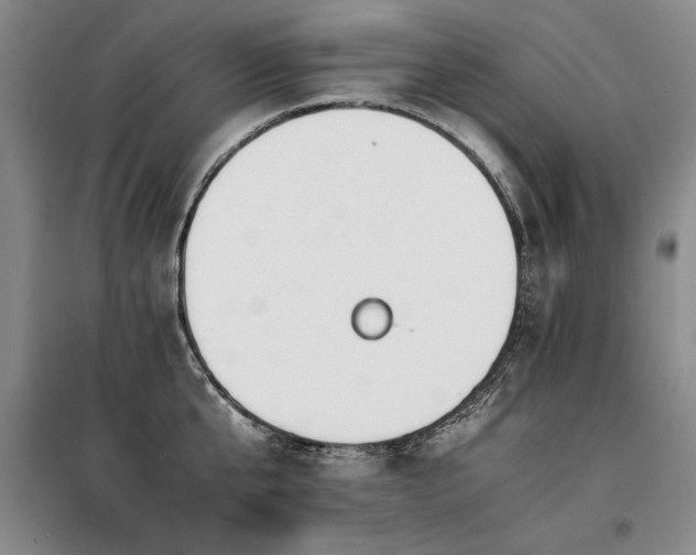 X0000098140807200804171545