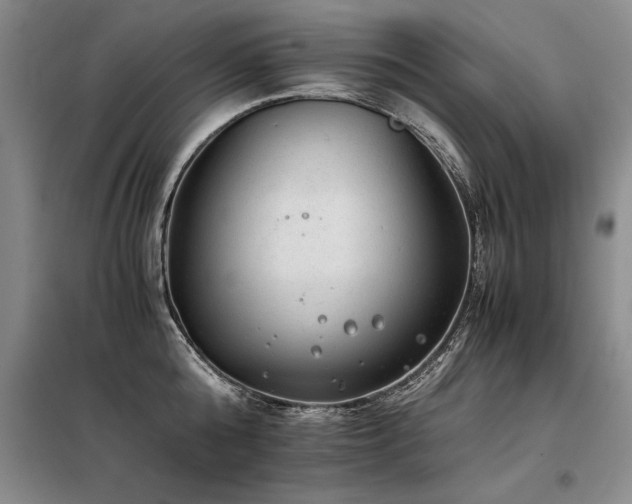 X0000098140808200804171545