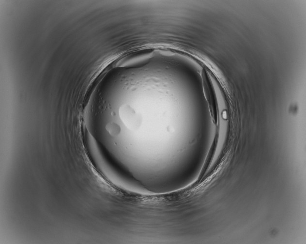 X0000098140809200804171545