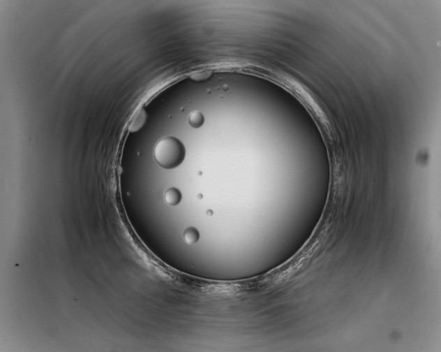 X0000098140810200804171545