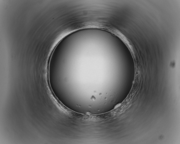 X0000098140811200804171545