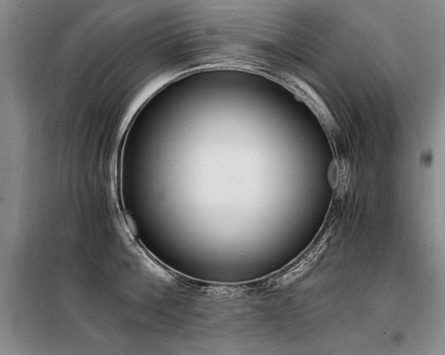 X0000098140812200804171545