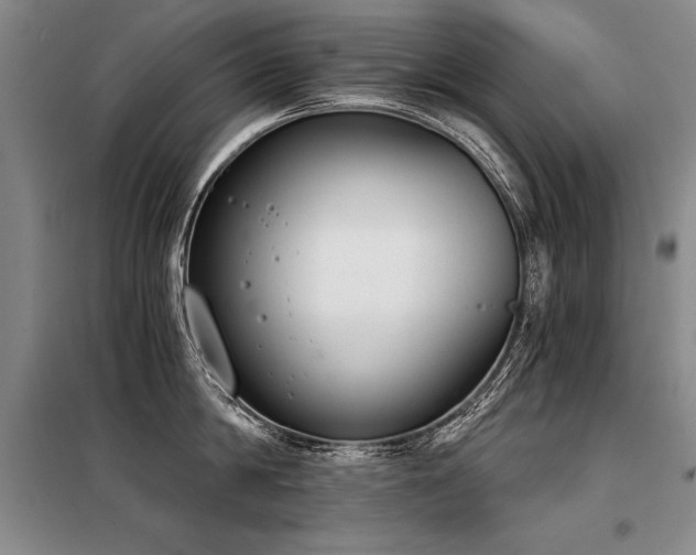 X0000098140814200804171545