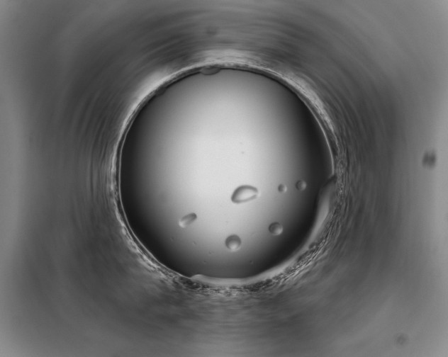 X0000098140815200804171545