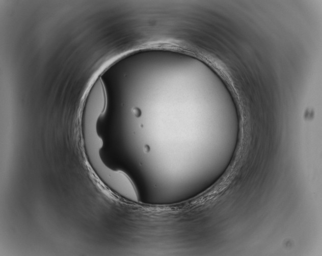 X0000098140816200804171545