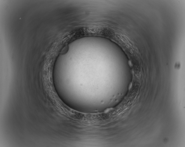 X0000098140817200804171544
