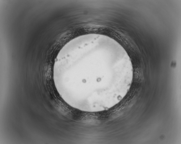 X0000098140820200804171545