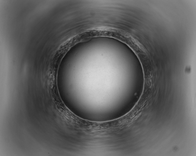 X0000098140821200804171545