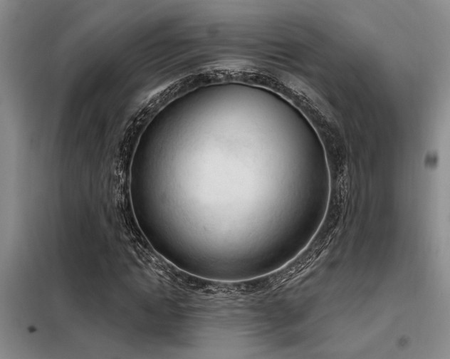 X0000098140822200804171545