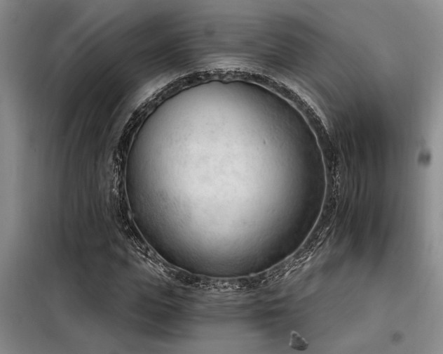 X0000098140823200804171545