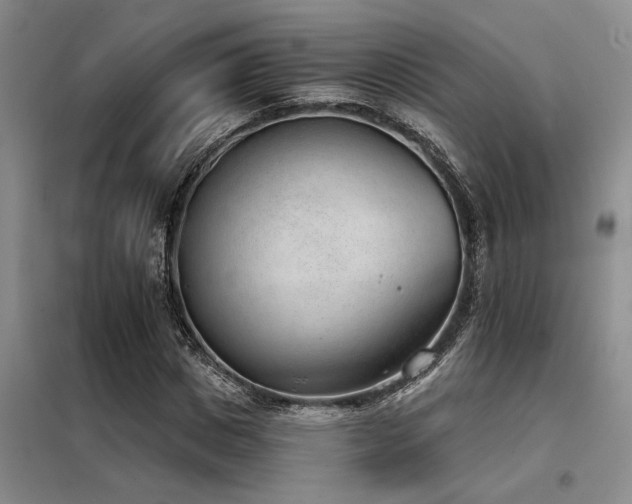 X0000098140825200804171545