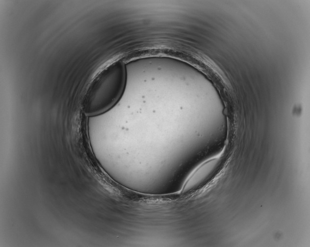 X0000098140826200804171545
