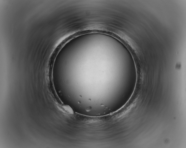 X0000098140830200804171545