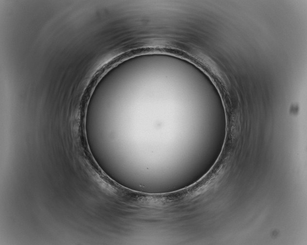 X0000098140831200804171545