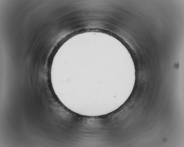 X0000098140832200804171545