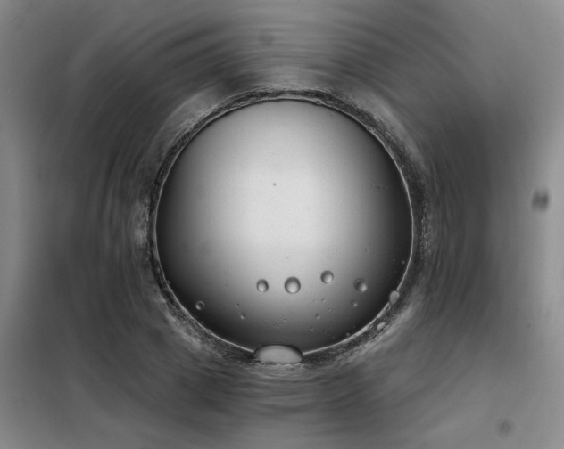 X0000098140833200804171545