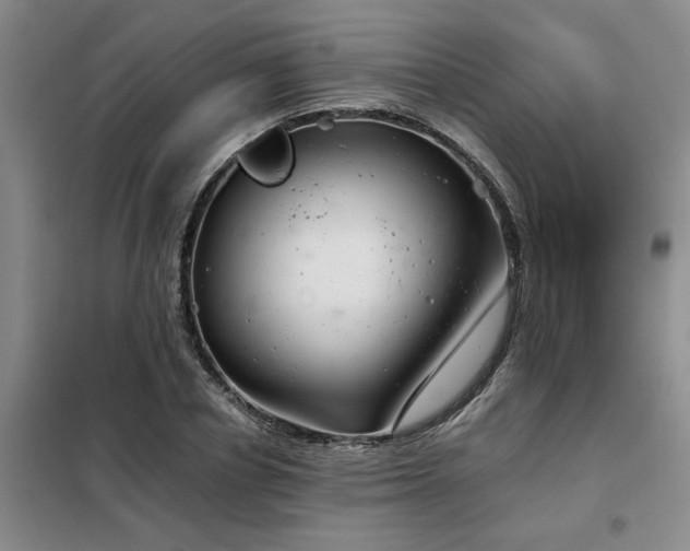 X0000098140834200804171545