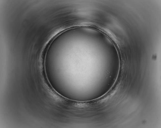 X0000098140835200804171545