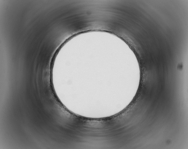 X0000098140836200804171545