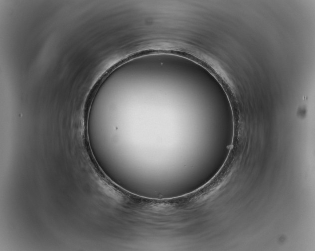 X0000098140837200804171545