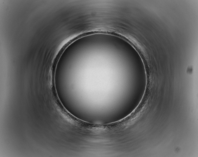 X0000098140838200804171545
