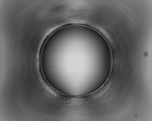 X0000098140840200804171545