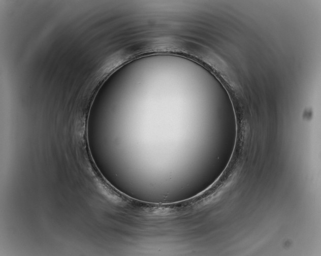 X0000098140841200804171545