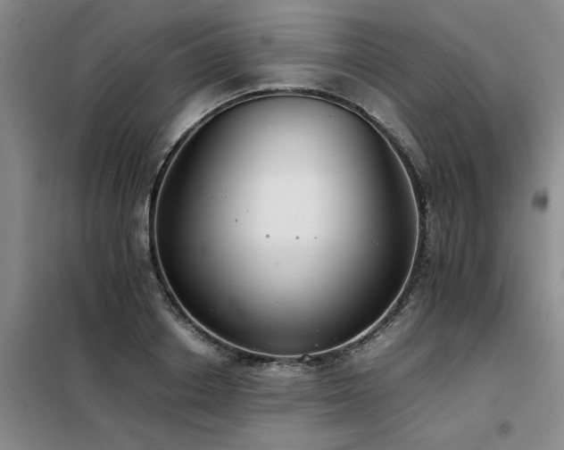X0000098140842200804171545