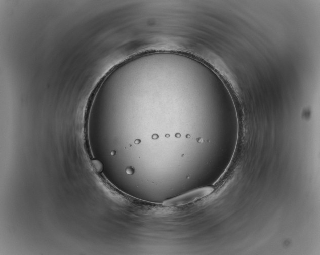 X0000098140845200804171545