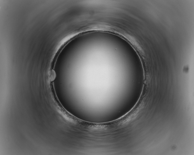 X0000098140846200804171545