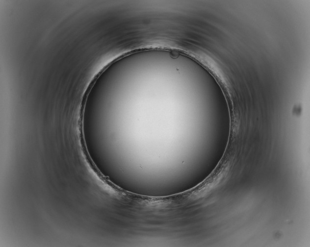 X0000098140847200804171545