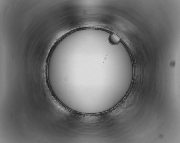 X0000098140848200804171545