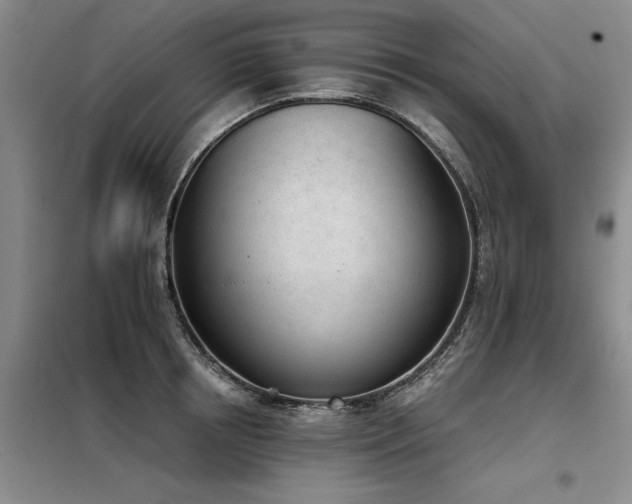 X0000098140850200804171545