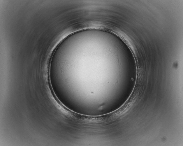 X0000098140851200804171545