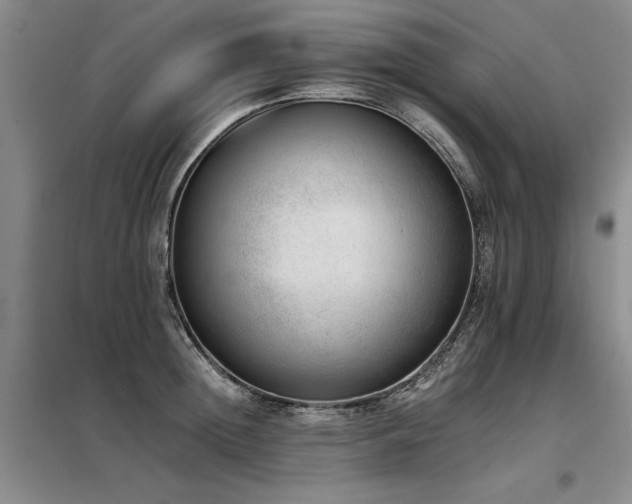 X0000098140852200804171545