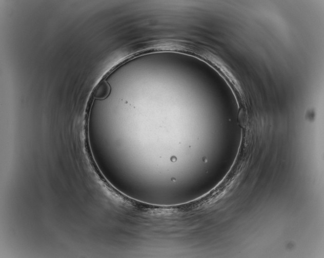 X0000098140853200804171545