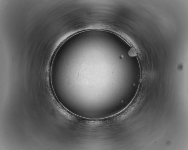 X0000098140854200804171545