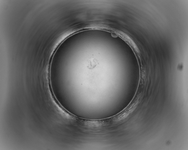 X0000098140855200804171545
