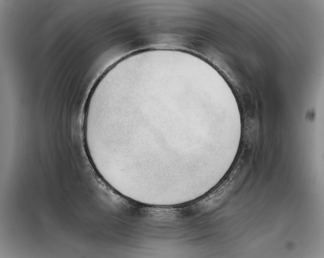 X0000098140856200804171545