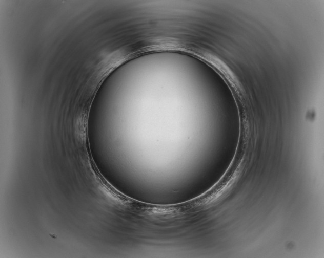 X0000098140857200804171545