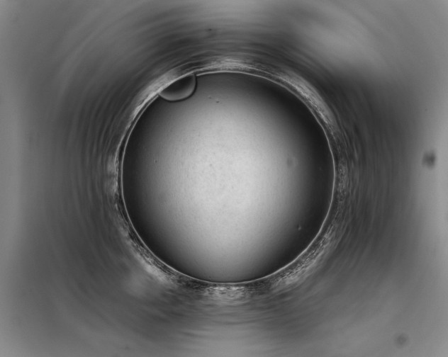 X0000098140858200804171545