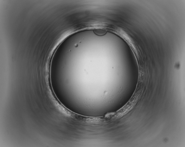X0000098140859200804171545
